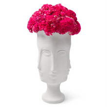 Cargar imagen en el visor de la galería, Dora Maar vase