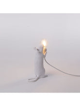 Cargar imagen en el visor de la galería, Mouse lamp standing