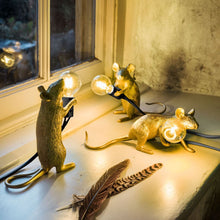 Cargar imagen en el visor de la galería, Mouse lamp gold standing